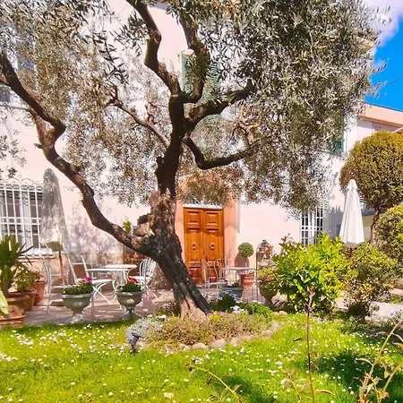 Bed & Breakfast Lula