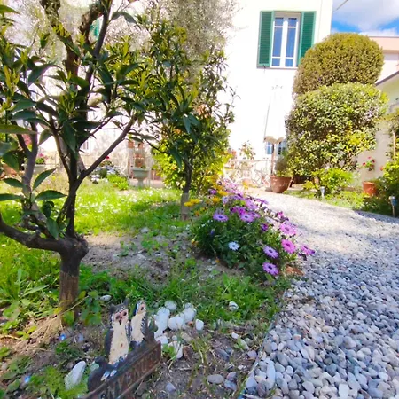Lula Bed & Breakfast Lucca